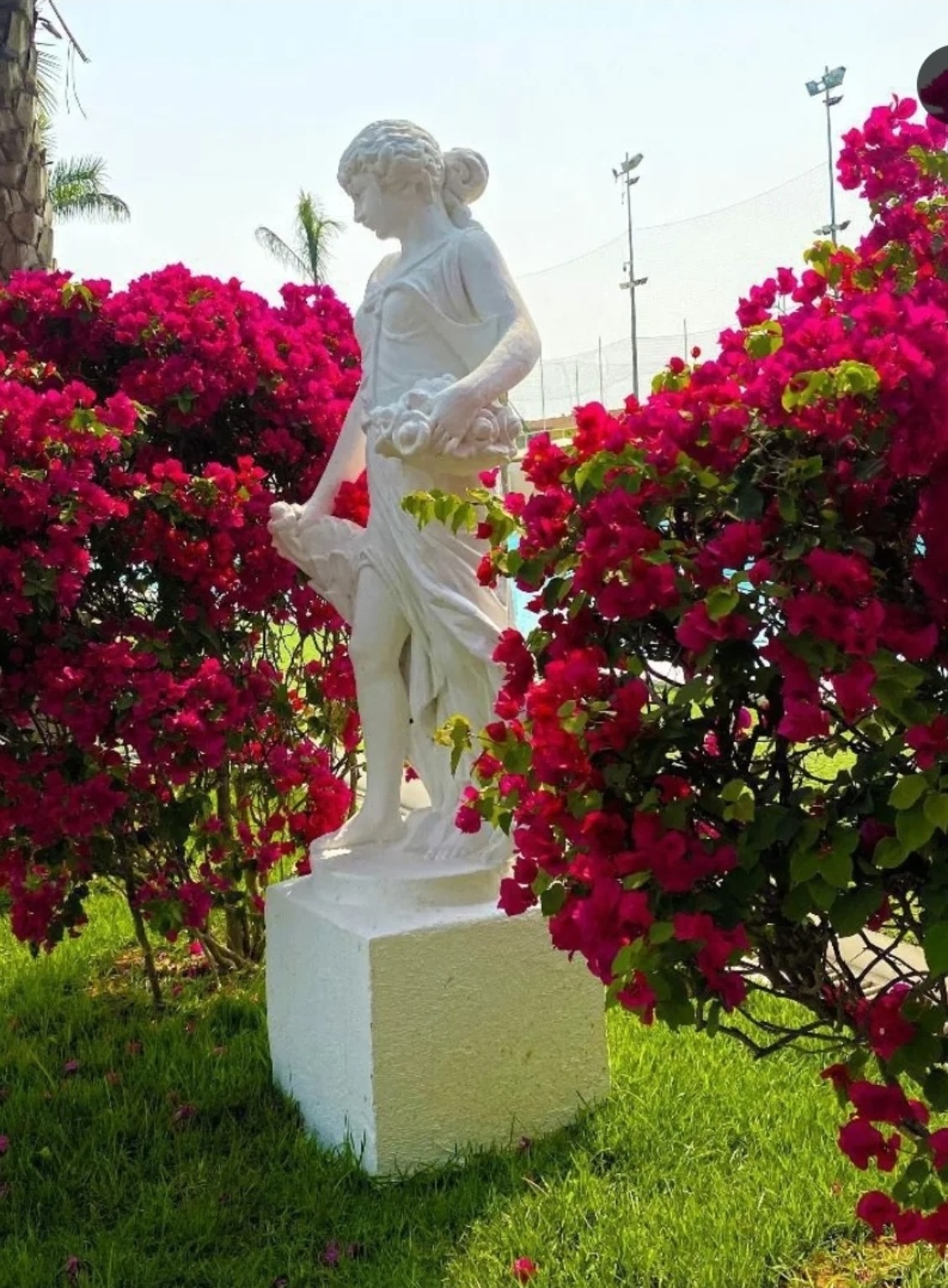 Escultura branca rodeada de flores rosa no jardim